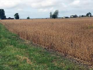 Property photo 6 - FARMLAND AUCTION - 76.15+/- ACRES IN 2 TRACTS IN RANDOLPH COUNTY, INDIANA
